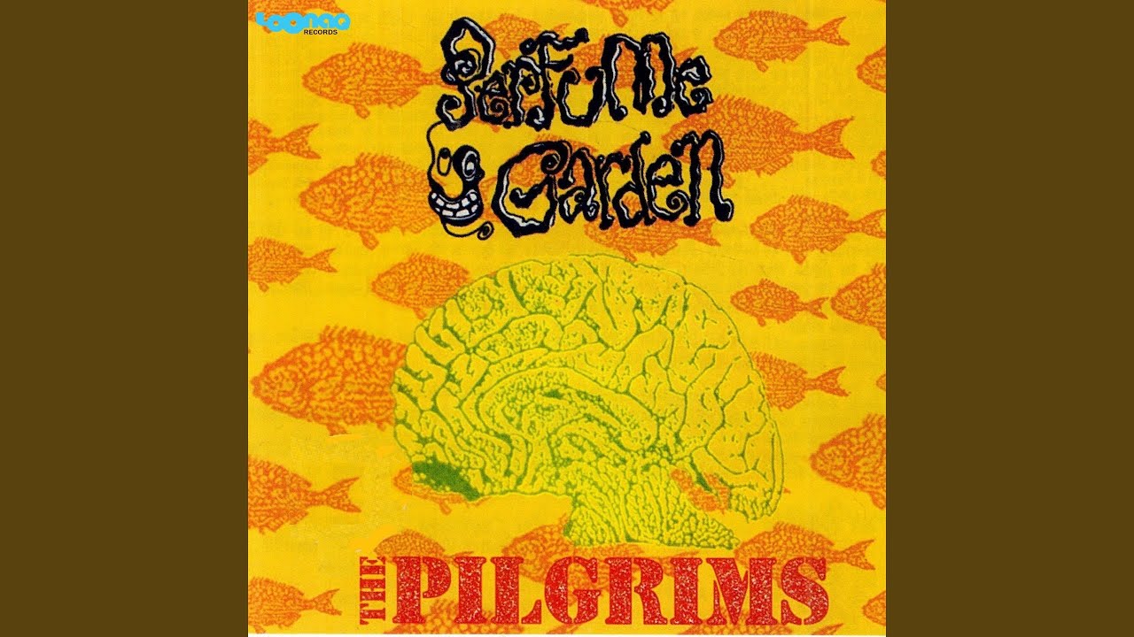 Working Class 3rd World Country Punks