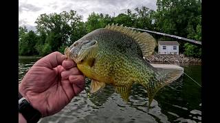 Spring 2026 fishing highlights