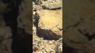 IMG 0750