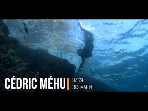 Vidéo: Comment Pratiquer La Chasse Sous-marine