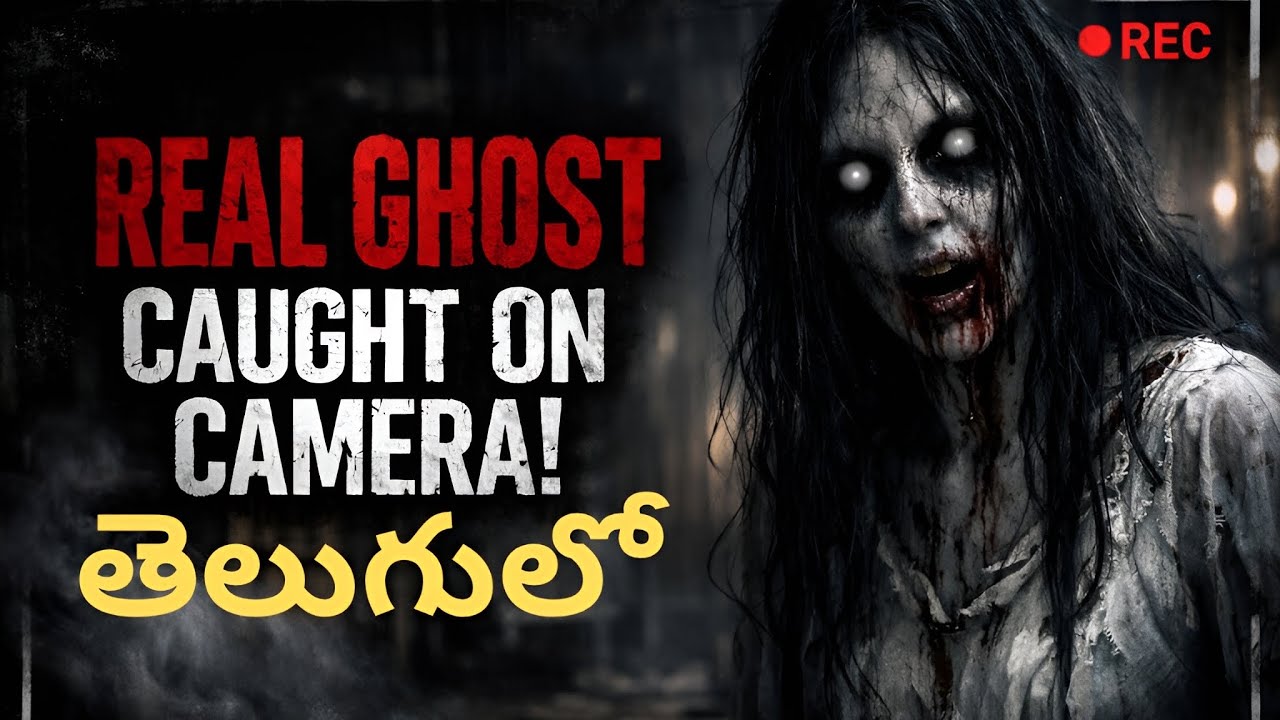 2013 CCTV Elevator Video | Elisa Lam Mystery Explained 😱 | హోటల్ నీరు నల్లగా ఎందుకు వచ్చింది? |