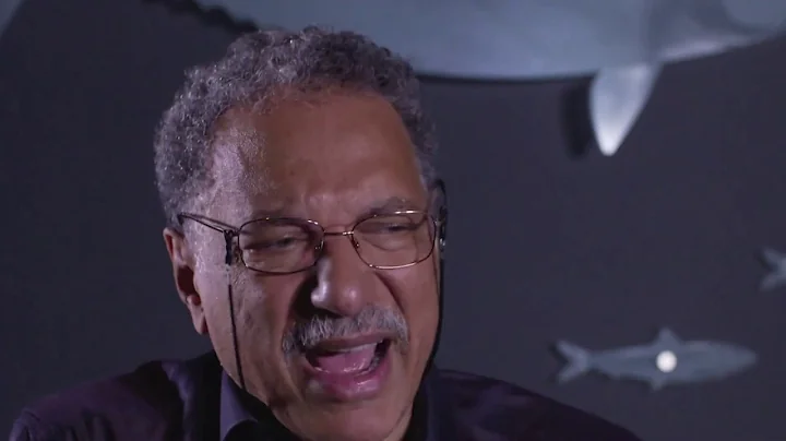 Decline of Stocks - Rescue Fish