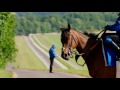 The Assistant Trainer