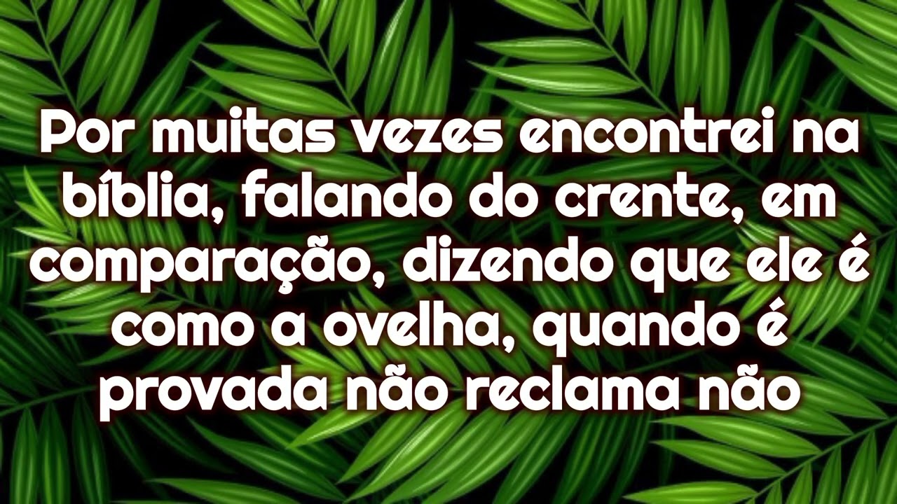 🌴O crente e a palmeira Eliane Fernandes playback legendado🌴