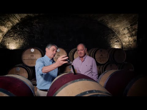 Preview: WineMasters Italy, Tuscany (S2E3)