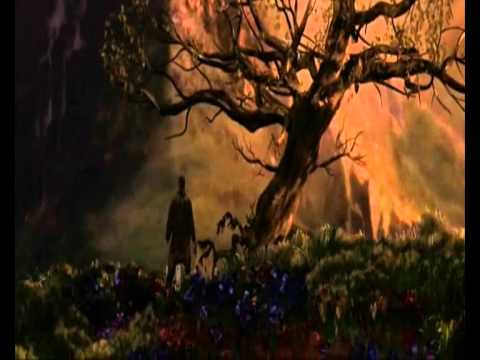 მისტიკა-წარსულს ვუბრუნდები