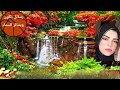 من أول ما هاتوصل لك جى لك خبر سعيد غير متوقع وفى حاجه جايه لك اوعى ترفضها mp3