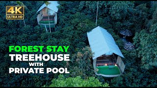 Treehouse with Private Pool | Coffee County | 4K UHD | Wayanad | Vlog#36