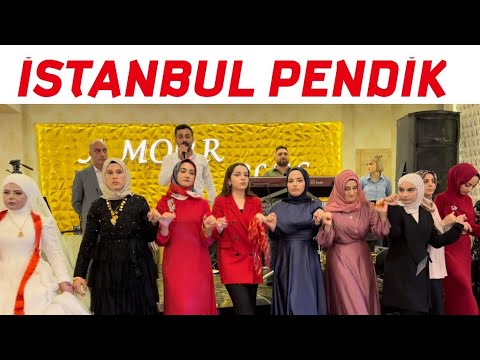 İSTANBUL PENDİK AĞRI