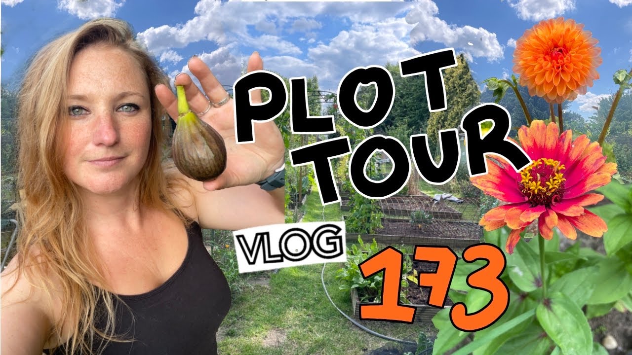 Plot Tour - The Allotment Garden in July || Plot 37