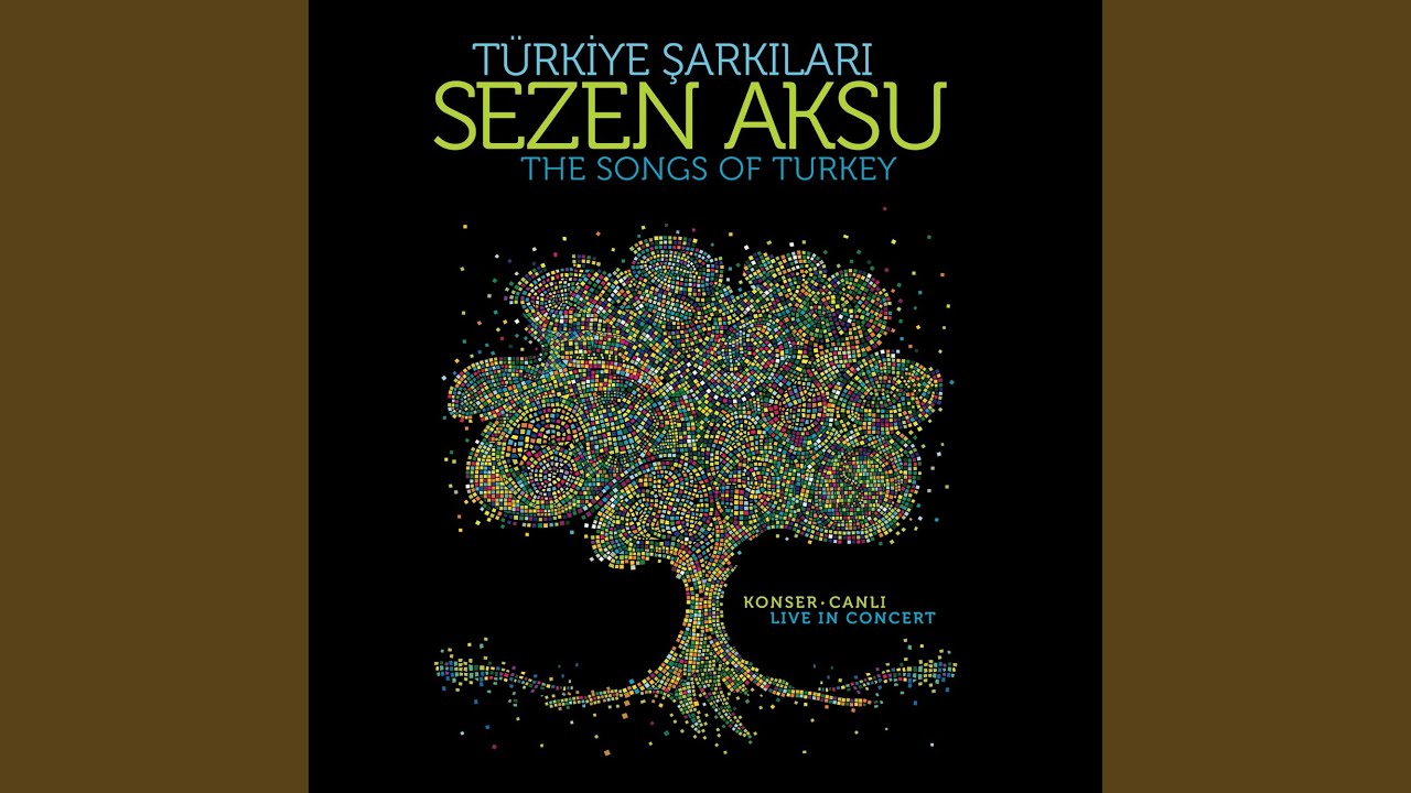 {artistName} adlı sanatçının {trackName} müzik videosunu izle