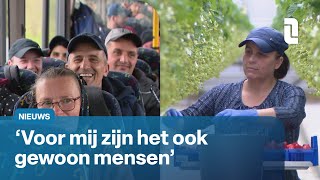 Deze mensen zijn de 'blik Polen' die jouw aardbeien plukken 🍓 | L1 Nieuws