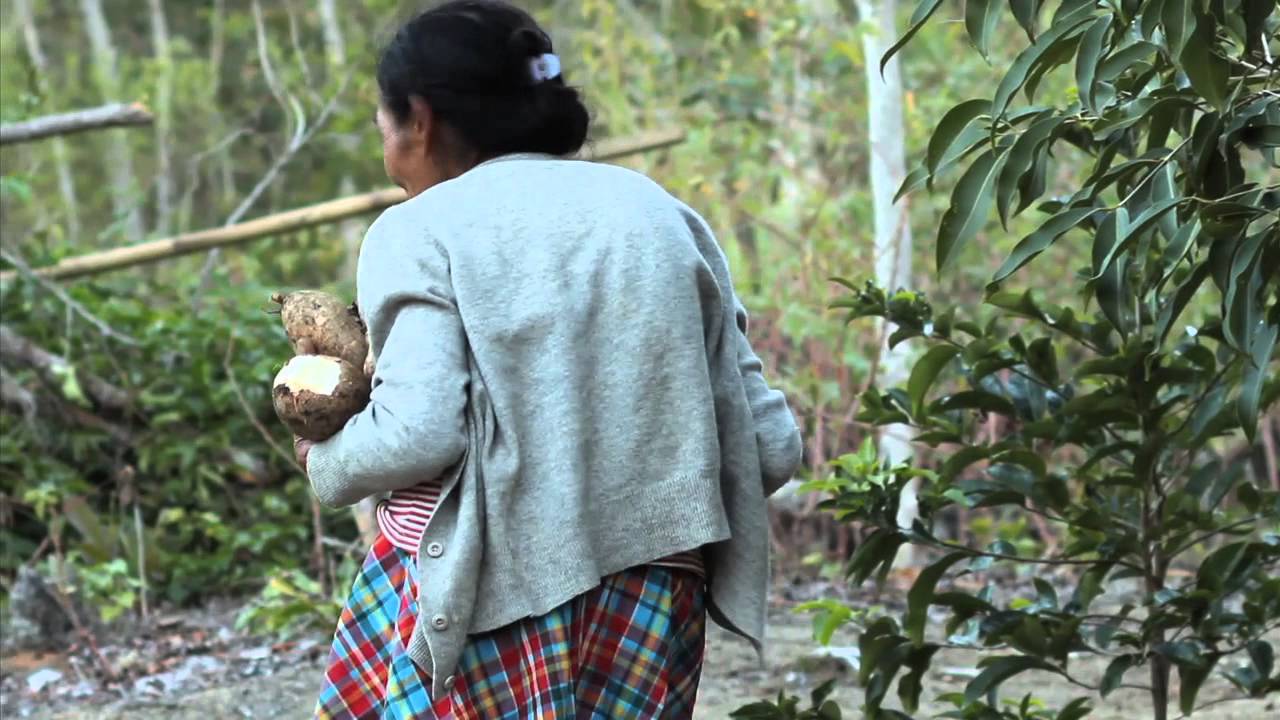 Preservar es Resistir