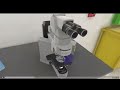 OneLab VR Walkthrough