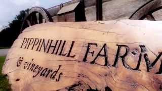 Pippin Hill Wedding, Charlottesville, Virginia