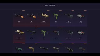 Opeining The New Cases On Datdrop Insane Drops Free Battle