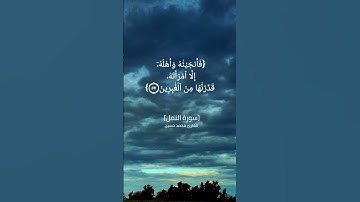 سورة النمل الآية ٥٥ الى ٥٨ بصوت القارئ محمد حسين