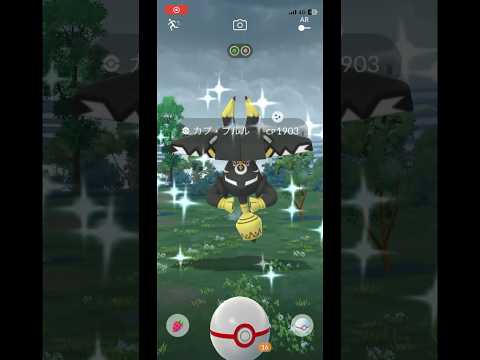 色背景はうれしいよ😭 #ポケモンgo #pokemongo #shorts