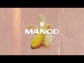 Afrobeat x dancehall type beat instrumental mango   by shot records