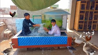 How To Clean Fish Fountain | Fountain Ko Clean Kar Diya