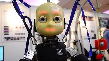 iCub Eye Calibration