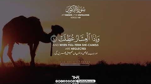 سوره تکویر آیات 1 تا 9 - حامد علیزاده حامد علیزادہ - تلاوت مسالمت آمیز - ثبت احوال