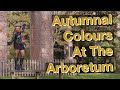 Autumnal Colours At The Arboretum