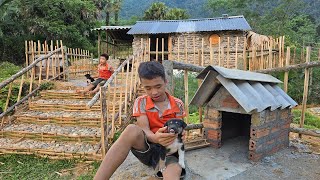 Orphan boy: Go to the market to buy dogs and working tools - build a house for pets.(ep.99)