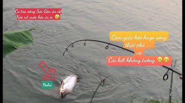 Câu cá// Cá tra sông Sài Gòn/// Cảng Bà Lụa///Cá Tra Sông,Trê ăn dế .