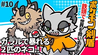 アイアンヘッドで1000年先の未来に頭突き・ポケモン剣盾で暴れるネコの枠