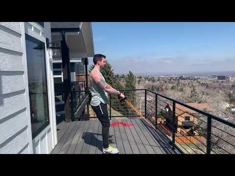 Vital Training Systems: Banded Low Angle Face Pull