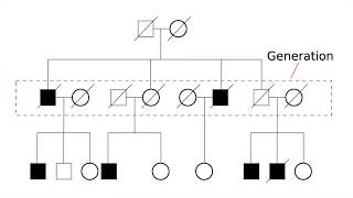 Genetics & Dementia