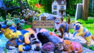 Mama cat and kittens drinking milk and food - cat videos - cat sounds - cute kittens