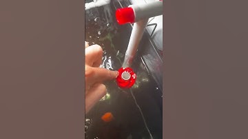 Bí kíp để hút váng Lọc treo BAOYU xoay như chong chóng #loctreobaoyu #baoyu #loctreo #locnuocbeca