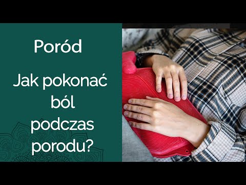 Czy zwierzęta odczuwają ból podczas porodu?