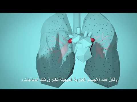 منظمة الصحة العالمية: تنفس الحياة (BreatheLife) - كيف يؤثر تلوّث الهواء على جسمك