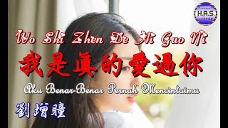 Wo Shi Zhen De Ai Guo Ni 我是真的愛過你 [Aku Benar-Benar Pernah Mencintaimu] 劉增瞳