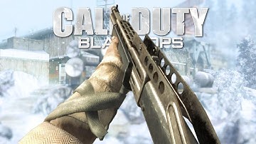 Remember the Black Ops Spas 12?