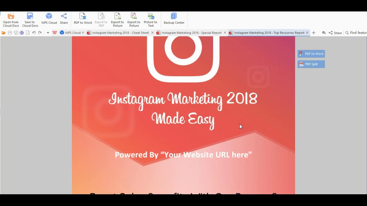 Instagram Marketing 2018 Made Easy-The Wholesale PLR Store Preview ...