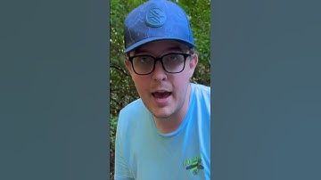 A Giant Snapping Turtle is Stealing Our Minners... #minners #minnershortage2023 #creek