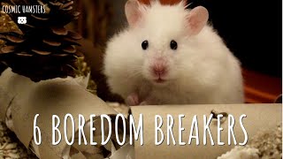 Making 6 Of My Favourite Hamster Boredom Breakers | Cosmic Hamsters