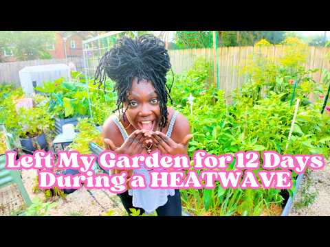 Did Anything Survive the HEATWAVE & VACATION 🔥 Here’s What I Came Home To…
