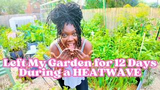 Did Anything Survive the HEATWAVE & VACATION 🔥 Here’s What I Came Home To…