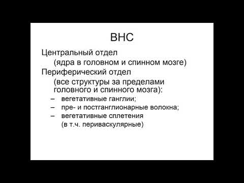 Вегетативная нервная система