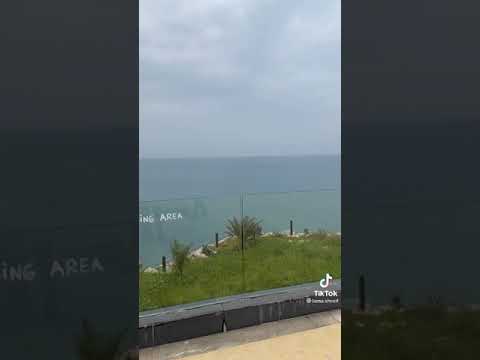 لمى شريف يا طير سنونو شو رئكون بل منظر