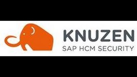 KNUZEN CUSTOMIZATION OF HR MASTER DATA STRUCTURES
