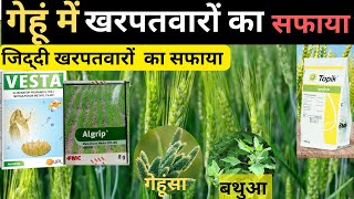 गेहूं में खरपतवारनाशक || सभी खरपतवार जड़ से खत्म होंगे || gehun mein kharpatwar nashak dawa kisan