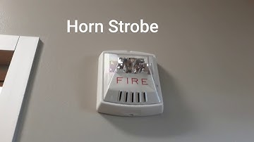 Wheelock Exceeders: Horn Strobe & Remote Stobe