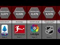 Biggest Sports Leagues in the World