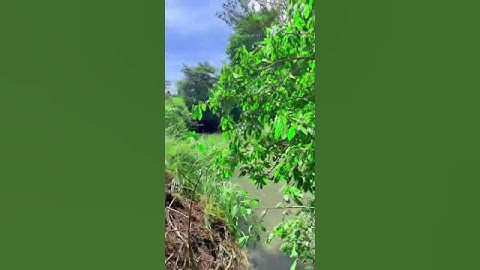 Bán đất 2.000m² có suối, mặt tiền bê tông – Láng Lớn, Châu Đức, BR-VT – Giá 2 tỷ